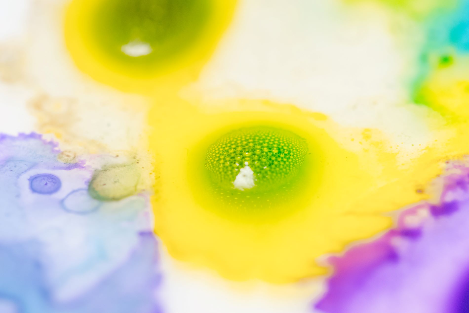 14 Von Farben und Formen IIa